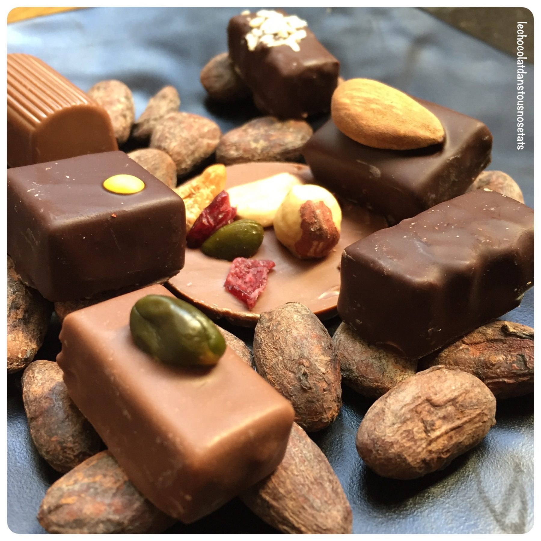 le chocolat le chocolat